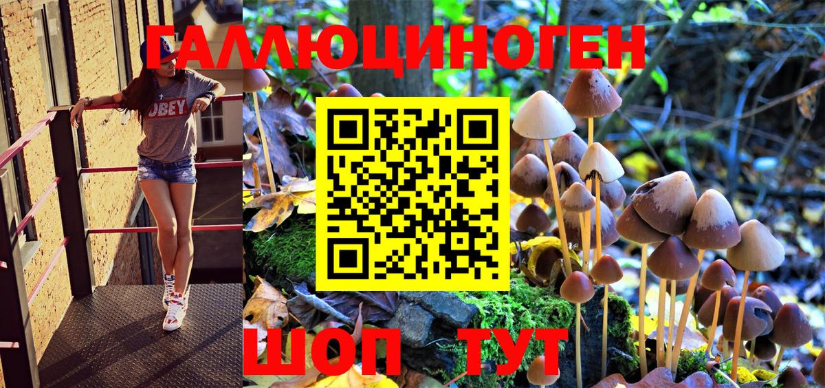 Псилоцибиновые грибы Magic Shrooms Кириши